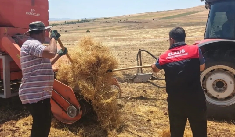 aginda-mercimek-tohumluklari-icin-hasat-kontrolleri-xHQDOObD.jpg