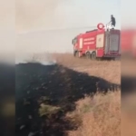 Bingöl'de Taş, Sopalar ve Silahlarla Dolu Kavga: İki Aile Arasında 9 Yaralı thumbnail