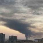 Gaziantep'te Arpa ve Buğday Hasadı Tüm Hızıyla Devam Ediyor thumbnail