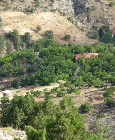 bin-600-rakimli-dagda-kayip-kadinin-cenazesi-icin-arama-calismalari-devam-ediyor-pbSEV4mU.jpg
