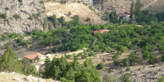 Bin 600 Rakımlı Dağda Kayıp Kadının Cenazesi İçin Arama Çalışmaları Devam Ediyor
