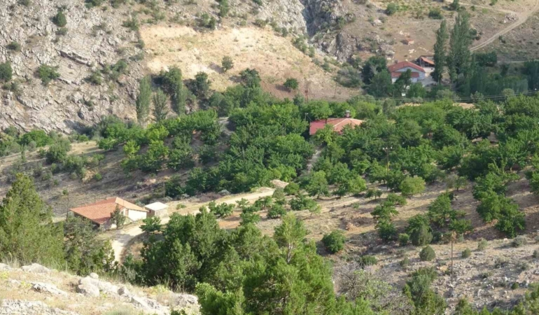 bin-600-rakimli-dagda-kayip-kadinin-cenazesi-icin-arama-calismalari-devam-ediyor-pbSEV4mU.jpg