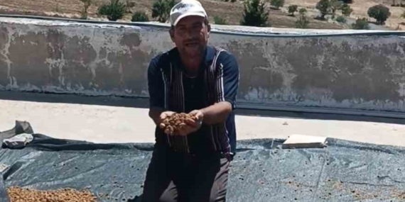 Çermik’te Taze Dutlar Pazarda Satışa Sunuldu