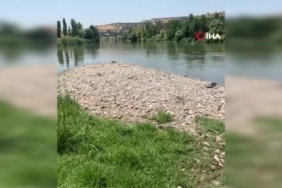 dicle-nehrinde-essiz-bir-kesif-cansiz-beden-bulundu-xcdmG9HJ.jpg
