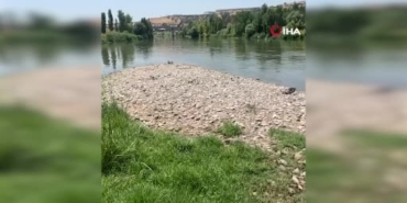 dicle-nehrinde-essiz-bir-kesif-cansiz-beden-bulundu-xcdmG9HJ.jpg