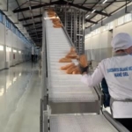 Malatya'da 36.798 Adet Sentetik Ecza Hapı Ele Geçirildi thumbnail