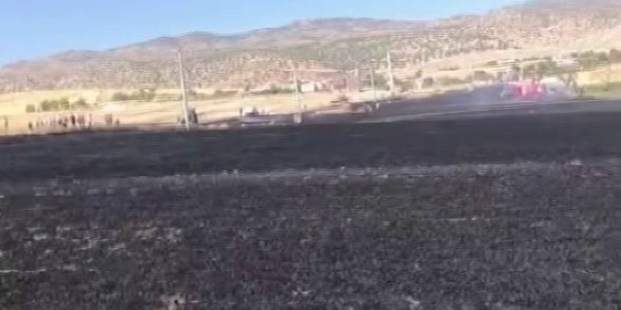 Diyarbakır’da 100 Dönüm Alan Alevlere Yenik Düştü
