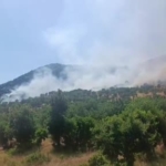 Diyarbakır'da Sıcak Havalarda Çocukların Anzele Koşusu thumbnail