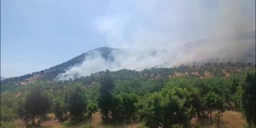 diyarbakirda-agaclik-alanda-yangin-itfaiye-ve-jandarma-ekipleri-mucadele-ediyor-7gwXc8Gc.jpg