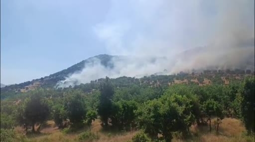 Diyarbakır’da Ağaçlık Alanda Yangın: İtfaiye ve Jandarma Ekipleri Mücadele Ediyor