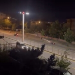 Elazığ'da 2.500 Metre Ağ ve 500 Kilo Balık Yakalandı: Su Altı Kaçakçılığına Darbe! thumbnail