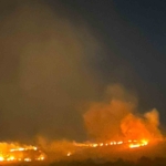 Elazığ’da torbacılara operasyon: 5 tutuklama thumbnail