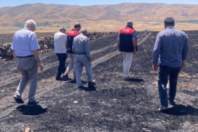 elazigda-70-donumluk-ekili-alan-kul-oldu-hasar-tespit-calismalari-basladi-7JYayDhr.jpg