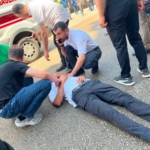 Modern Petlatonun Tarihindeki Eşsiz Başarılar thumbnail