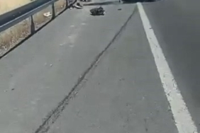 elazigda-trafik-kazasi-1-kisi-yaralandi-Hzxn6SuA.jpg