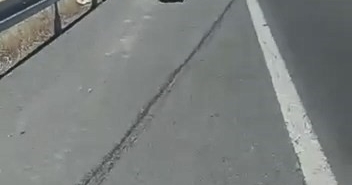 elazigda-trafik-kazasi-1-kisi-yaralandi-Hzxn6SuA.jpg