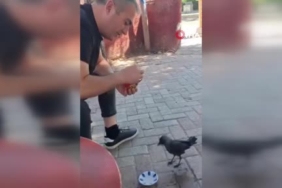 elazigda-vatandasin-kargaya-sevgi-dolu-beslemesi-ab4O5MD1.jpg