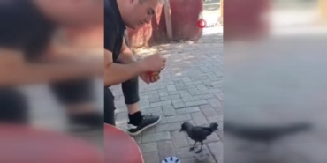 elazigda-vatandasin-kargaya-sevgi-dolu-beslemesi-ab4O5MD1.jpg