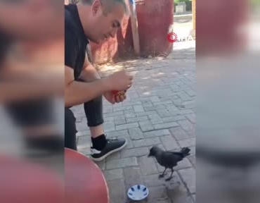 elazigda-vatandasin-kargaya-sevgi-dolu-beslemesi-ab4O5MD1.jpg