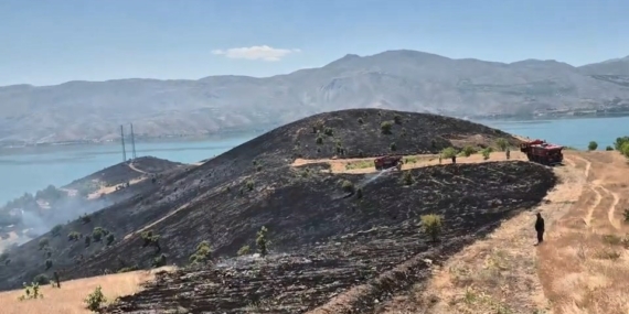 Elazığ’daki Arazi Yangını Başarıyla Kontrol Altına Alındı