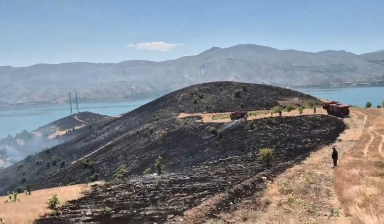 elazigdaki-arazi-yangini-basariyla-kontrol-altina-alindi-nOjvfGnr.jpg