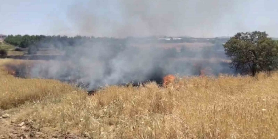 Elazığ’daki Arazi Yangınına Hızla Müdahale Ediliyor