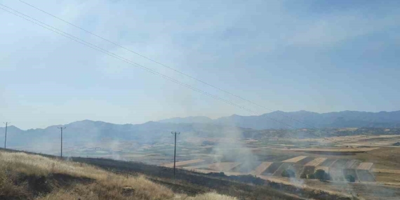 Elazığ’daki Yangında 40 Dönüm Arpa Kül Oldu