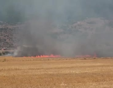 gaziantepte-panige-neden-olan-tarla-yangini-rvwDYszm.jpg