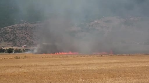 Gaziantep’te Paniğe Neden Olan Tarla Yangını