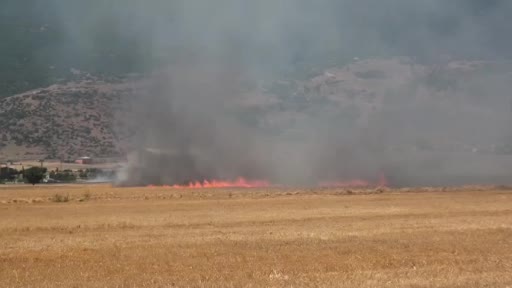 gaziantepte-panige-neden-olan-tarla-yangini-rvwDYszm.jpg