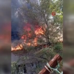 Malatya'da Yaşayan Yaşlı Kadının Banyoda Bulunan Gizemli Ölümü thumbnail