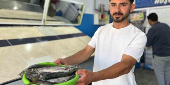 İnci Kefali Artık Tezgâhlarda!