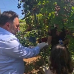 Elazığ'da Hassas Yıkım: Ağır Hasarlı Bina Tek Dokunuşla Yok Edildi thumbnail