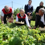 Elazığ'da Polisten Kaçan Sürücüye Uygulanan Tarihi Ceza thumbnail