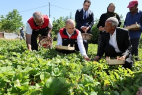 vali-hatipoglunun-cilek-hasadi-etkinligi-pAU9OwjE.jpg