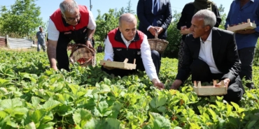 vali-hatipoglunun-cilek-hasadi-etkinligi-pAU9OwjE.jpg