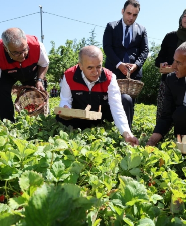 vali-hatipoglunun-cilek-hasadi-etkinligi-pAU9OwjE.jpg