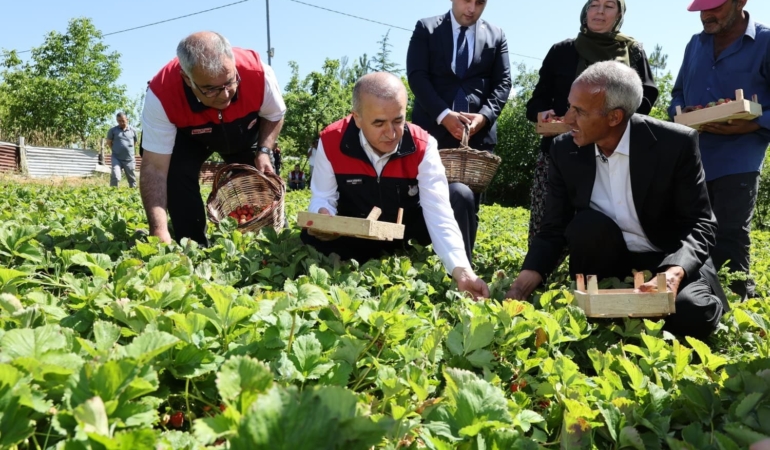 vali-hatipoglunun-cilek-hasadi-etkinligi-pAU9OwjE.jpg