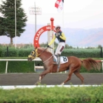 valilik-kosusunda-nesibin-zaferi-Tb43RXpc.jpg