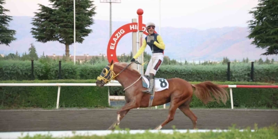 Valilik Koşusunda Nesib’in Zaferi