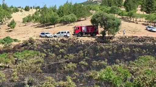 Yüksek Gerilim Hattına Çarpan Kuşun Sebep Olduğu Yangın