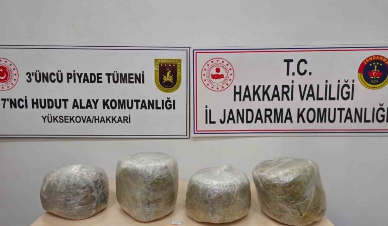 yuksekovada-11-kilo-skunk-yakalandi-UCEqrDrb.jpg