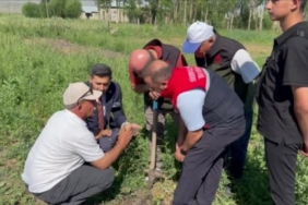 yuksekovada-tarimda-devrim-yoncali-koyunde-ilk-ticari-salep-hasadi-basariyla-gerceklestirildi-9WuAMLGX.jpg