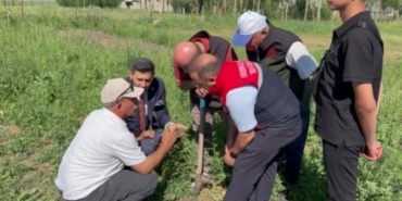 yuksekovada-tarimda-devrim-yoncali-koyunde-ilk-ticari-salep-hasadi-basariyla-gerceklestirildi-9WuAMLGX.jpg