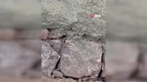 Yüksekova’da Yılanların Evin Kabusu Olması