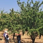 Elazığ Belediyesi'nden Yangınlara Karşı Önemli Uyarılar thumbnail