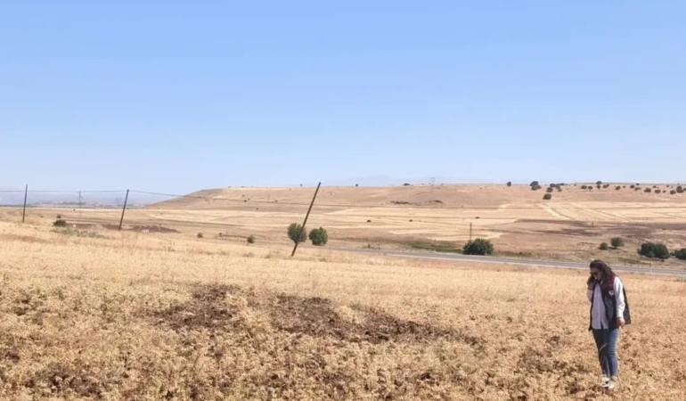aginda-tuylu-nohut-hasadi-h-l-suruyor-lyRKvj87.jpg
