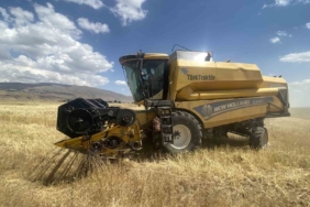agrida-bugday-bicme-sezonu-resmen-basladi-v9IxzwID.jpg