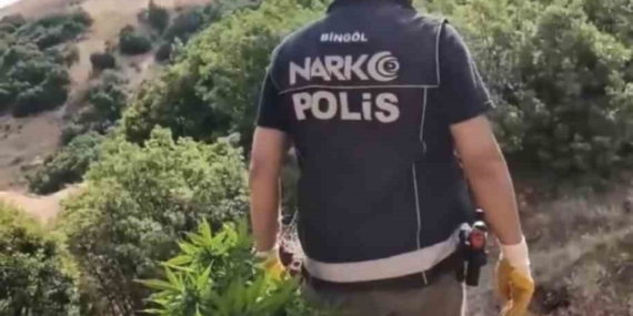 Bingöl’de Uyuşturucu Operasyonu: Üç Şüpheli Tutuklandı