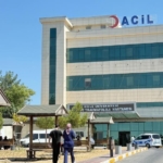 Siirt'te Dağda Mahsur Kalan Büyükbaş Hayvanın Ölümü thumbnail